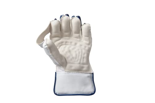 Gunn & Moore GM Aion Premium Cricket Wicket Keeping Premium Gloves ' Various Sizes (Adult/Youth/Boys Size) - style: Adult Size
