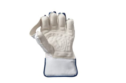 Gunn & Moore GM Aion Premium Cricket Wicket Keeping Premium Gloves ' Various Sizes (Adult/Youth/Boys Size) - style: Adult Size