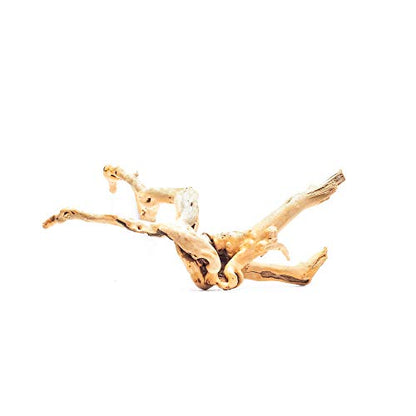 Nano Driftwood for Aquariums and Terrariums (Single)
