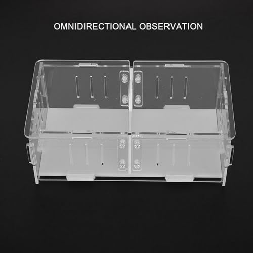 Acrylic Reptile Breeding Box, Feeding and Landscaping Box, Transparent with Movable Partition for Crickets and Small Reptiles