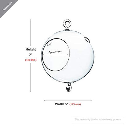 WGV Hanging Terrarium Globe, Width 5", Height 7", Double Hook, DIY Air Succulent Planter, Clear Glass Vase Orb, Candle Holder for Windowsill Outdoor Garden Decor, 1 Piece - size: 5" Double Hook