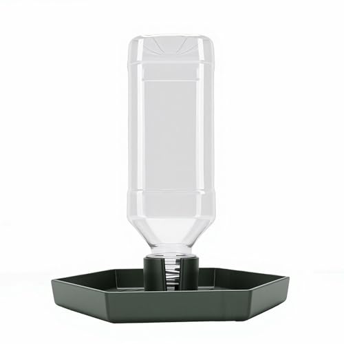 GLOGLOW Food and Water Bowl for Lizard Chameleon (Dark Green) - color: Dark Green