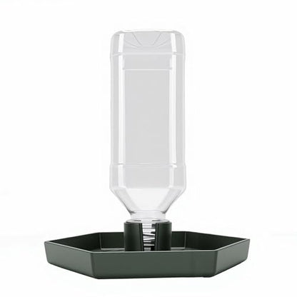 GLOGLOW Food and Water Bowl for Lizard Chameleon (Dark Green) - color: Dark Green