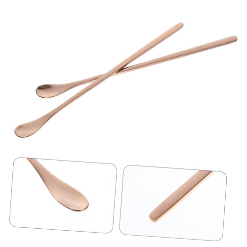 TOYANDONA 2pcs Reusable Stainless Steel Reptile Food Spoon Ergonomic Feeding Tool for Small Pets for Lizards and Other Reptiles Design