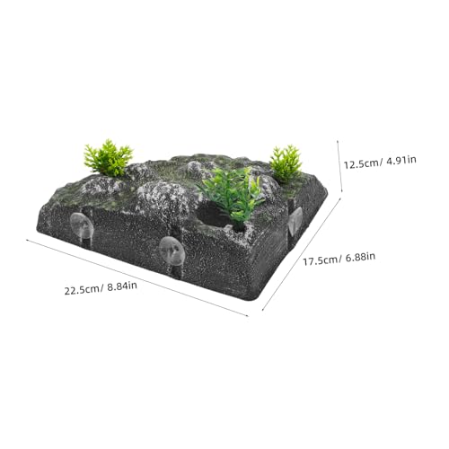Toddmomy Turtle Basking Platform Climbing Ramp and Floating Island Natural Habitat Decor for Aquariums Resting Terrace for Tortoises and Reptiles Physical Activity and Reduces Stress
