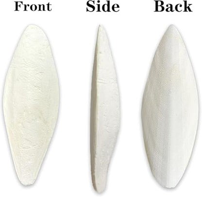 5.5"-7.1" inches Large Cuttlebone for Birds - 100% Natural Cuttlefish Bone Bulk Chew Toy Bird Bites Calcium Stone for Canaries Tortoises,Snails,Reptiles,Parrots,Cockatiel -3pcs - size: 3PCS
