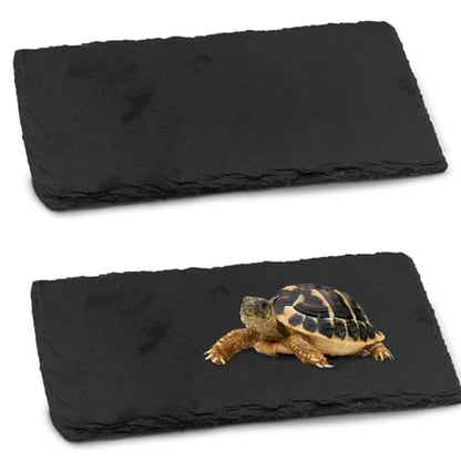 kathson 2 PCS Reptile Basking Platform (15.7 x 11.8 inches), Natural Rock Plate Turtle Food Bowl Feeding Dish Resting Terrace Habitat Decor for Tortoise Turtle Lizard Bearded Dragon Crested Gecko - size: 15.7X11.8inch,2PCS