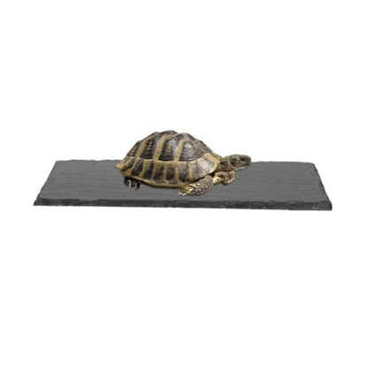 Turtle Basking Platform Rocks Slate Rock for Reptiles Tortoise Food Dish Landscape Habitat Decor Accessories, Basking Rock for Crested Gecko Lizard Bearded Dragon Turtle, Gray