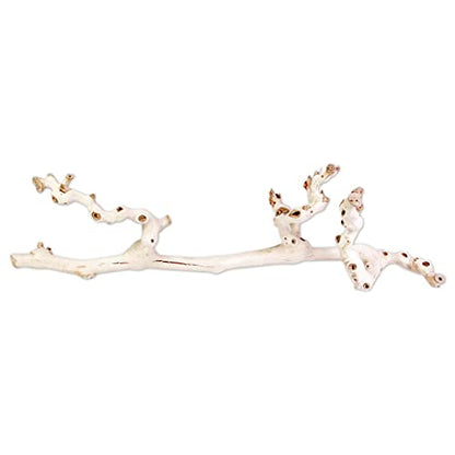 Koyal Wholesale 24" Natural Grapevine, Sandblasted Reptile Wood Branches, Terrarium Grapewood, Reptile Branch, Grapewood Branch, Grapevine Wood for Wedding Centerpieces, Branch Décor - size: 24 Inch
