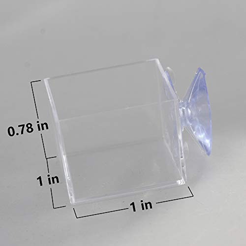 4pcs mini Insect Water Dish, Transparent Plastic, Small Reptile Feeding Feeder, Crickets Pet Worm Cups Spider Gecko Butterfly Mantis Beetle Bowl Set | Wall Mounted Reptile Food Dish And Water Bowl Set For Small Lizard, Mantis And Jumping Spider, Animals E