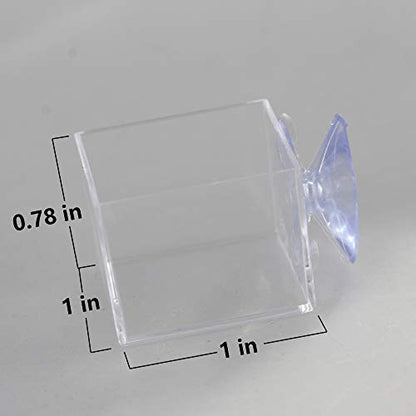 4pcs mini Insect Water Dish, Transparent Plastic, Small Reptile Feeding Feeder, Crickets Pet Worm Cups Spider Gecko Butterfly Mantis Beetle Bowl Set | Wall Mounted Reptile Food Dish And Water Bowl Set For Small Lizard, Mantis And Jumping Spider, Animals E