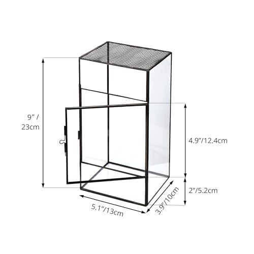 NCYP Glass Terrarium with Door and Mesh for Small Insects - 5.1 x 3.9 x 9 Inches Rectangle Reptile Habitat, Black - Modern Home Tabletop Decor (Terrarium Only)