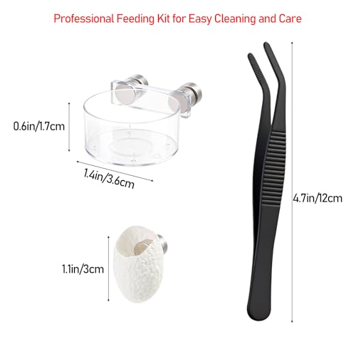 Jumping Spider Water Dish Feeding Set Magnetic Bowl Tongs | Magnetic Water Bowl Feeding Dish Tweezer Silk Cocoon Enclosure Accessories Kit for Jumping Spider Reptile Small Pets