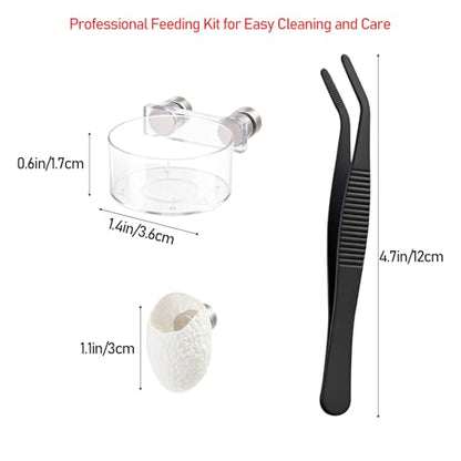 Jumping Spider Water Dish Feeding Set Magnetic Bowl Tongs | Magnetic Water Bowl Feeding Dish Tweezer Silk Cocoon Enclosure Accessories Kit for Jumping Spider Reptile Small Pets