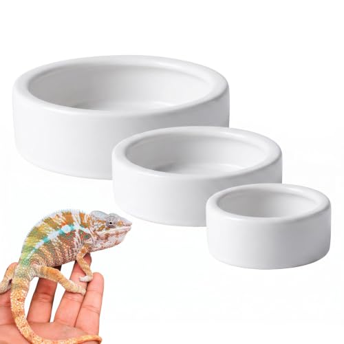 3 Pack Escape Proof Reptile Feeding Dish, Reptile Food and Water Bowl, Ceramic Worm Dish for Bearded Dragon, Lizard, Gecko