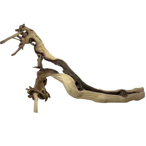 Koyal Wholesale 18" Grapevine Wood Exotic Untreated Grapewood Branch for Reptiles, Wedding Centerpieces & Rustic Table Decor DIY Sandblasted Grapevine Branch - size: 18" Grapevine