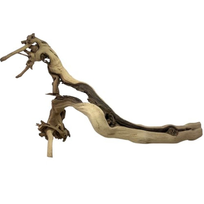 Koyal Wholesale 18" Grapevine Wood Exotic Untreated Grapewood Branch for Reptiles, Wedding Centerpieces & Rustic Table Decor DIY Sandblasted Grapevine Branch - size: 18" Grapevine