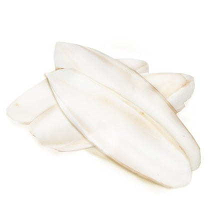 SunGrow 4 Pack Large 6-inch Cuttlefish Bones for Cockatiels, Turtles, Shrimp, Calcium for Beak Trimming, Cuddle Bone for Sharp Beaks, Calcium Block Stone for Egg-Laying Birds