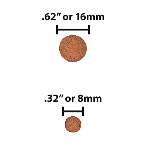 Hydroton Original Clay Pebbles - 10 Liter | Lightweight Expanded Clay Aggregate Made in Germany - size: 10 Liter