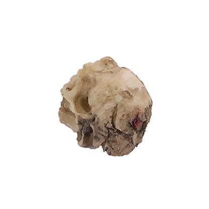 Leadigol 3PCS Aquarium Skull Reptile House Decor Resin Head Skeleton Ornament Aquarium Landscaping Hideout Cave Shelter for Reptile or Fish