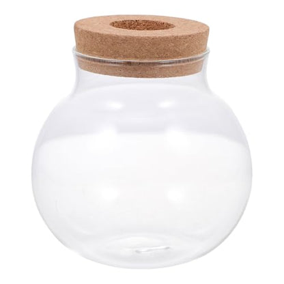 Ciieeo Micro Landscaping Glass Fish Container with Lid Small Desktop Terrarium Bottle for DIY Moss Planting and Miniature Aquatic Ecosystem