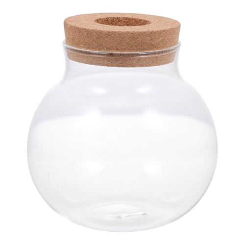 Ciieeo Micro Landscaping Glass Fish Container with Lid Small Desktop Terrarium Bottle for DIY Moss Planting and Miniature Aquatic Ecosystem