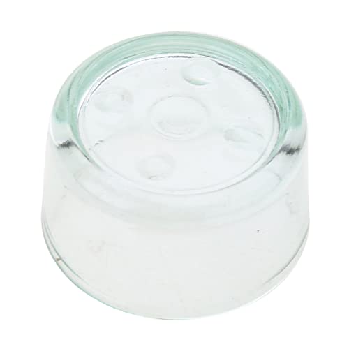 XISAOK Reptiles Food Bowl Anti-Escape Worm Dish Reptiles Glass Feeding Dish Reptiles Drinker Cup for Lizards