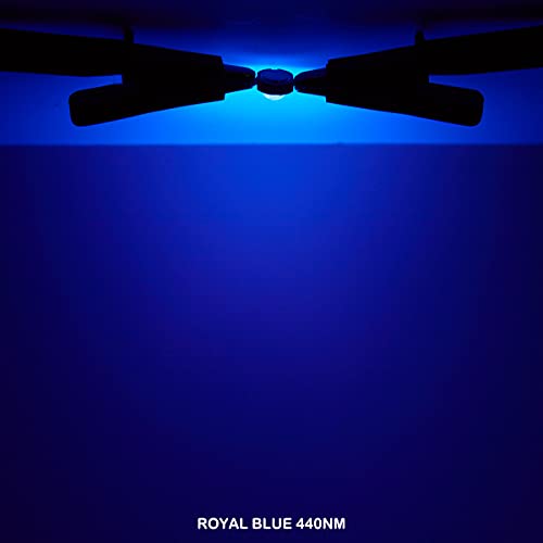 CHANZON 10 pcs High Power Led Chip 5W Royal Blue Plant Grow Light | (440nm - 450nm / 600mA - 700mA / DC 6V - 7V / 5 Watt) SMD COB Emitter Diode Components for DIY Hydroponic Aquarium Growing - color: J) Royal Blue (440nm)