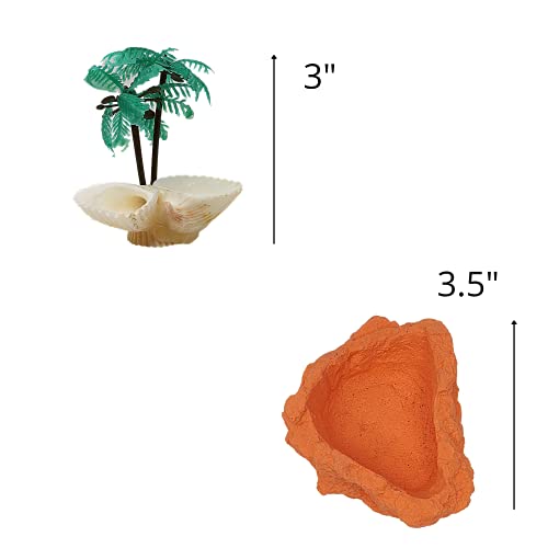 Needzo DIY Terrarium Hermit Crab Habitat Kit with Palm Tree Feeder and Swimming Pool, Bulk Reptile Starter Pack, 2 Items