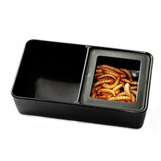 2-in-1 Mealworm Food Water Reptile Dish Snake Lizard Leopard Gecko Ball Python Bearded Dragon