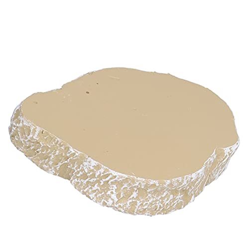 Yosoo Reptile Food Bowl Resin Feeding Plate for Small Pets Turtles Lizards Frogs Geckos Flat Bottom Design Easy to Clean Aquarium Decor