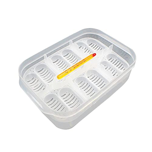 balacoo 1pc Hatching Box for Snakes and Lizards Compartment Incubator with Thermometer Easy to Clean and Manage for Reptile Breeding and Egg Observation
