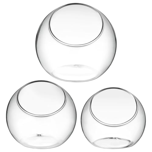 IMIKEYA Plant Terrarium Display: 3Pcs Slanted Glass Terrarium Containers Air Plant Glass Sphere Succulent Display Bowl Vase for Home Tabletop Microlandschaft