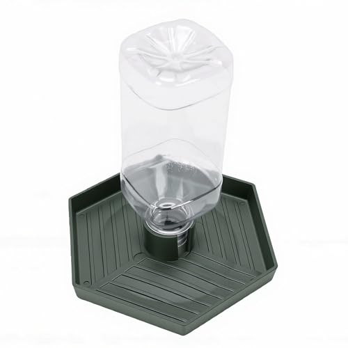 GLOGLOW Food and Water Bowl for Lizard Chameleon (Dark Green) - color: Dark Green