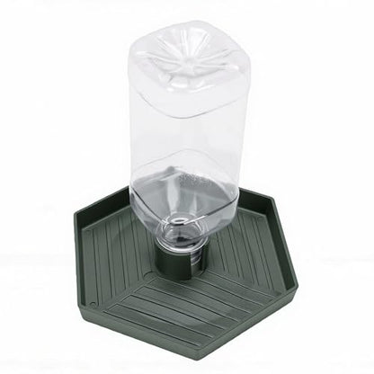 GLOGLOW Food and Water Bowl for Lizard Chameleon (Dark Green) - color: Dark Green