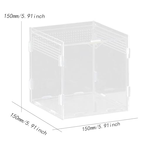 Reptile Feeding Box, Reptile Terrarium, Acrylic, Professional, Spacious Container, for Bearded Dragons, 15x15x15cm - size: 15x15x15cm