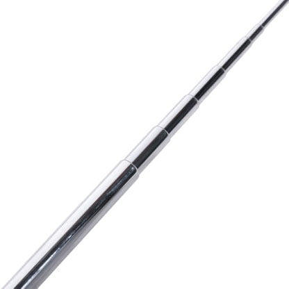Adjustable Stainless Steel Snake Hook Retractable Long Handle Professional Amphibious Reptile Catching Tool Accessories(Silver) - color: Silver