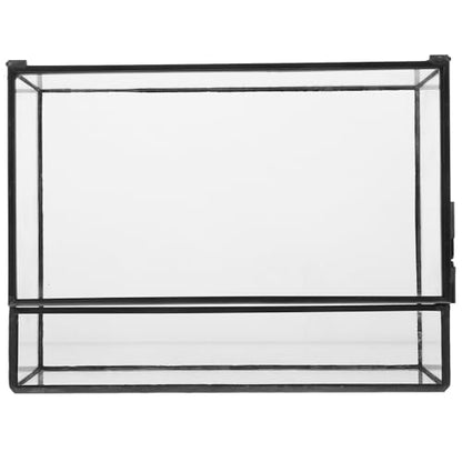 Happyyami Glass Terrarium Micro Landscape Container for Indoor Desktop Ecosystem Moss Planter Small Geometric Glass Holder 145x80x195mm Suitable for Succulent and Moss Gardening
