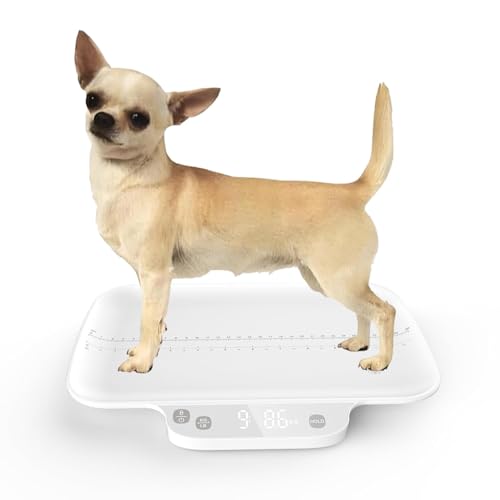Dog Scale for Small Dogs,with Hold funtion,Kitten Scale,Accuracy1g/0.035 oz, Max15 kg / 33 lbs, Suitable for Newborn Pets, Kitten,Chihuahua,Cats - color: White One-piece 1g