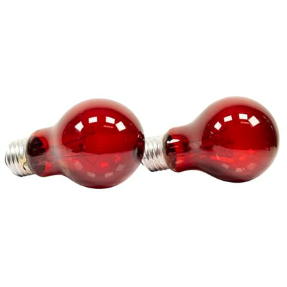 Zoo Med Nightlight Red Bulb for Reptiles 60 Watts Pack of 2
