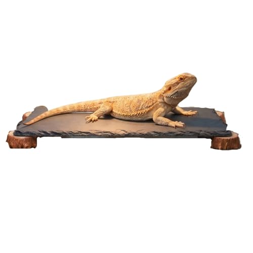 Bearded Dragon Basking Platform with Wooden Stakes, Large Reptile Feeding Station & Tank Accessories, Natural Slate Rock for Climbing and Teething, Habitat Decor for Lizard (Black)