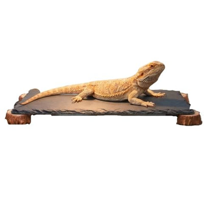 Bearded Dragon Basking Platform with Wooden Stakes, Large Reptile Feeding Station & Tank Accessories, Natural Slate Rock for Climbing and Teething, Habitat Decor for Lizard (Black)