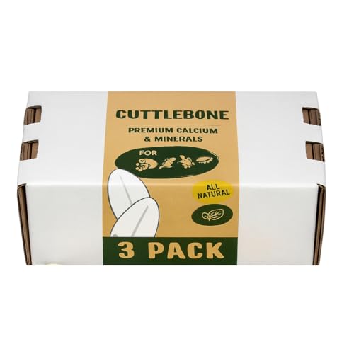 Cuttlebone 3-Pack Natural Calcium Supplement for Isopods, Birds, Parakeets, Cockatiels, Canaries, Reptiles & Small Pets