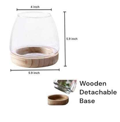 Water Terrarium Kit with 5.9” Glass Bowl, Substrate and Seeds | Create Your Own Indoor Garden | DIY Complete Set for Simple, Stunning Growth Unique Gift for Nature Lover | Desktop Decor - size: 5.9" H - 5.9" W