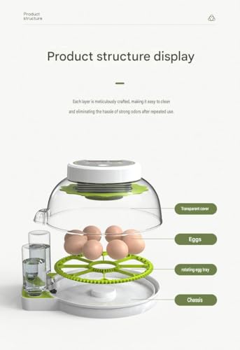 JUJOJB 12-Egg Incubator for Hatching Eggs, Auto Turner, Temp Control | Humidity and temperature control, egg candler, 360-degree window. For chicken, duck, quail, turkey eggs. Adjustable dividers. - color: Green