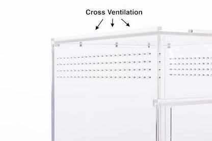 EctoTherm Arboreal Jumping Spider Enclosure and Arboreal Tarantula Enclosure - size: Medium