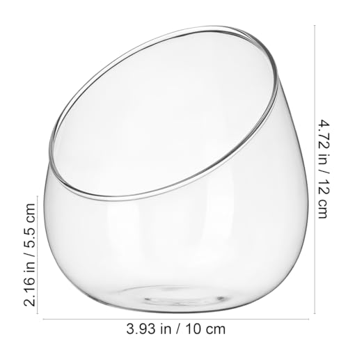 DOITOOL Clear Slant Cut Bowl Glass Vase, Glass Terrarium Candy Dish Fish Bowl Vase Fruit Jar Air Plant Holder for Succulents, Cacti, Moss, Terrariums, Flower Centerpiece, Height: 4.7", Base: 4"