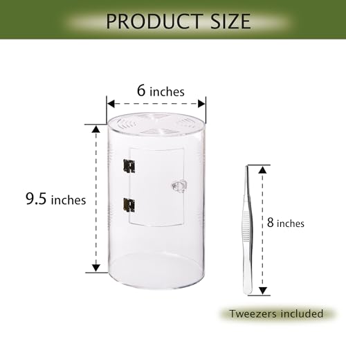 Acrylic Terrarium for Reptiles & Spiders – Small/Medium/Large Leak-Proof Enclosure (Horizontal/Vertical) | Ideal for Tarantulas, Jumping Spiders, Frogs & Geckos(Medium, Round) - size: Medium