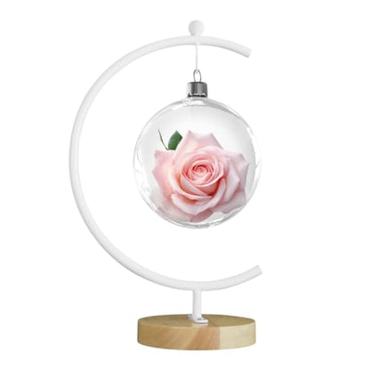 YY YEARCHY Ornament Display Stand Large Metal Air Plant Flower Pot Holder Iron Pothook for Hanging Glass Terrarium Globe Ball - color: White