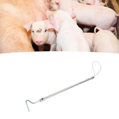 Hog Pig Catcher Pole Stainless Steel Animal Control Tool Adjustable Length for Dogs Pigs Reptiles with Hook T Handle (Hook Handle 75cm) - size: Hook Handle 75cm